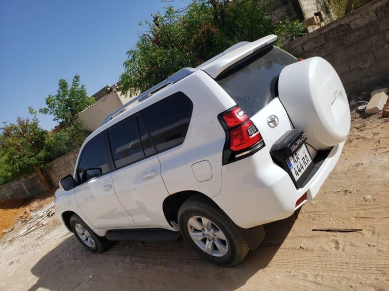 WhatsApp Image 2025-09-14 à 22.08.30_3d88db92