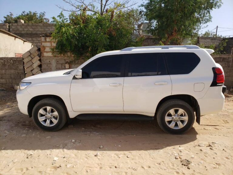 WhatsApp Image 2025-09-14 à 22.08.31_0ad85b9d